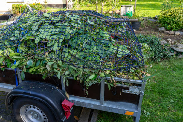 Best Carpet Removal and Disposal  in Greenbrier, TN